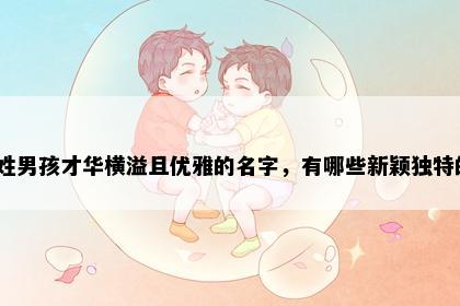 和姓男孩才华横溢且优雅的名字，有哪些新颖独特的？
