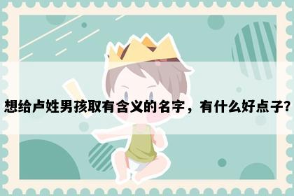 想给卢姓男孩取有含义的名字，有什么好点子？