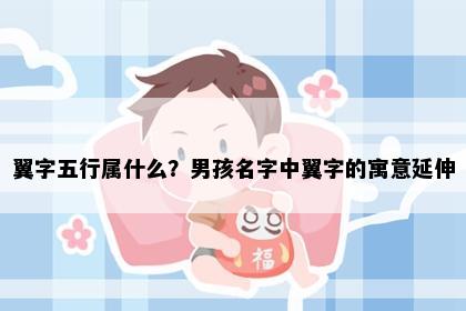 翼字五行属什么？男孩名字中翼字的寓意延伸