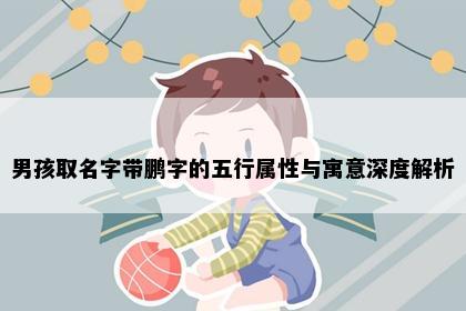 男孩取名字带鹏字的五行属性与寓意深度解析