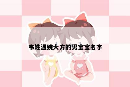 韦姓温婉大方的男宝宝名字