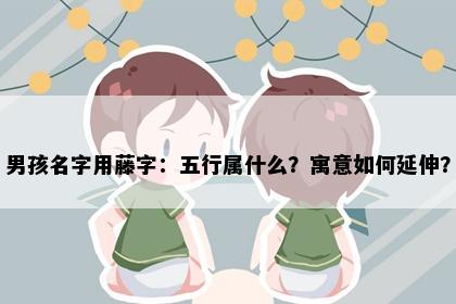 男孩名字用藤字：五行属什么？寓意如何延伸？