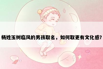 杨姓玉树临风的男孩取名，如何取更有文化感？