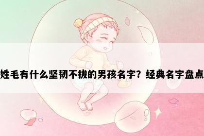 姓毛有什么坚韧不拔的男孩名字？经典名字盘点