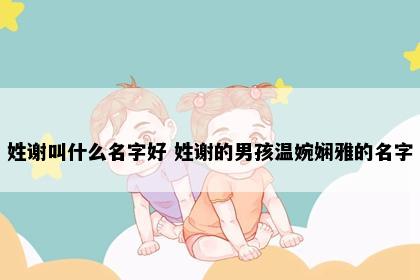 姓谢叫什么名字好 姓谢的男孩温婉娴雅的名字