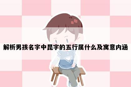 解析男孩名字中昆字的五行属什么及寓意内涵