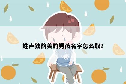 姓卢独韵美的男孩名字怎么取？