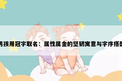 男孩用冠字取名：属性属金的坚韧寓意与字序搭配