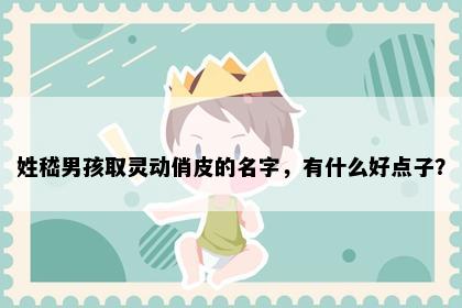 姓嵇男孩取灵动俏皮的名字，有什么好点子？