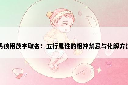 男孩用茂字取名：五行属性的相冲禁忌与化解方法
