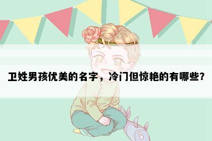 卫姓男孩优美的名字，冷门但惊艳的有哪些？