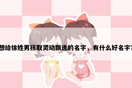 想给徐姓男孩取灵动飘逸的名字，有什么好名字？