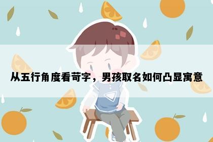 从五行角度看苛字，男孩取名如何凸显寓意