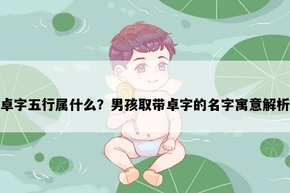 卓字五行属什么？男孩取带卓字的名字寓意解析