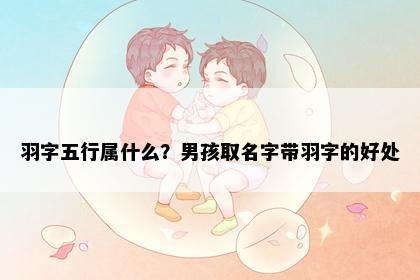 羽字五行属什么？男孩取名字带羽字的好处