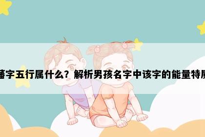 藩字五行属什么？解析男孩名字中该字的能量特质