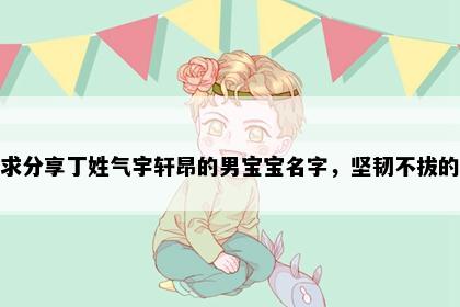 求分享丁姓气宇轩昂的男宝宝名字，坚韧不拔的