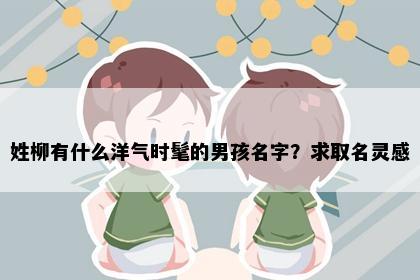 姓柳有什么洋气时髦的男孩名字？求取名灵感