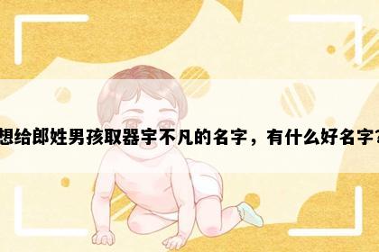 想给郎姓男孩取器宇不凡的名字，有什么好名字？