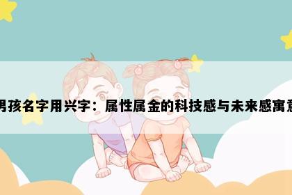 男孩名字用兴字：属性属金的科技感与未来感寓意
