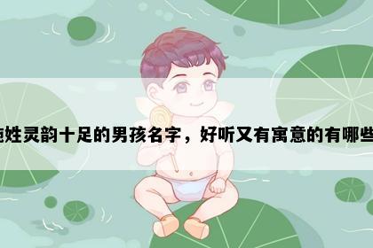 施姓灵韵十足的男孩名字，好听又有寓意的有哪些？