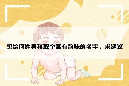 想给何姓男孩取个富有韵味的名字，求建议
