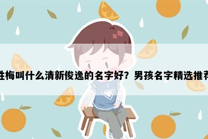 姓梅叫什么清新俊逸的名字好？男孩名字精选推荐