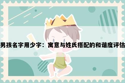男孩名字用少字：寓意与姓氏搭配的和谐度评估