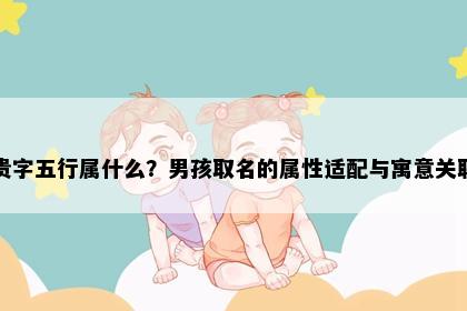 贵字五行属什么？男孩取名的属性适配与寓意关联