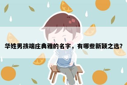 华姓男孩端庄典雅的名字，有哪些新颖之选？