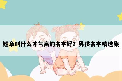 姓章叫什么才气高的名字好？男孩名字精选集