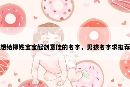 想给柳姓宝宝起创意佳的名字，男孩名字求推荐
