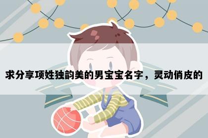 求分享项姓独韵美的男宝宝名字，灵动俏皮的