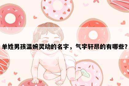 单姓男孩温婉灵动的名字，气宇轩昂的有哪些？