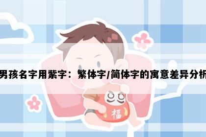 男孩名字用紫字：繁体字/简体字的寓意差异分析