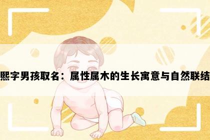 熙字男孩取名：属性属木的生长寓意与自然联结