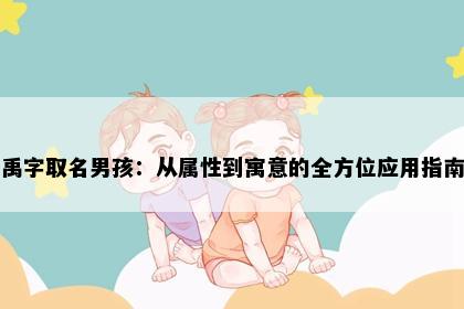 禹字取名男孩：从属性到寓意的全方位应用指南