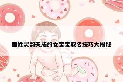 廉姓灵韵天成的女宝宝取名技巧大揭秘