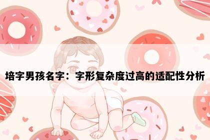 培字男孩名字：字形复杂度过高的适配性分析