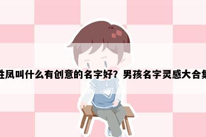 姓凤叫什么有创意的名字好？男孩名字灵感大合集