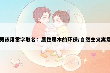 男孩用雷字取名：属性属木的环保/自然主义寓意