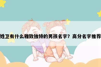 姓卫有什么雅致独特的男孩名字？高分名字推荐