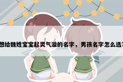 想给魏姓宝宝起灵气溢的名字，男孩名字怎么选？