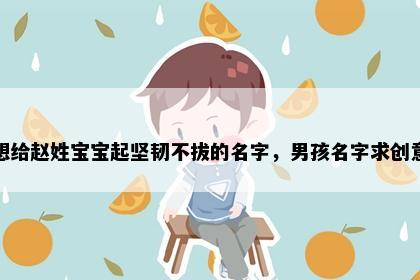 想给赵姓宝宝起坚韧不拔的名字，男孩名字求创意