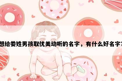 想给娄姓男孩取优美动听的名字，有什么好名字？