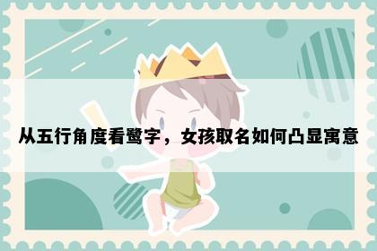 从五行角度看鹭字，女孩取名如何凸显寓意