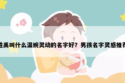 姓禹叫什么温婉灵动的名字好？男孩名字灵感推荐
