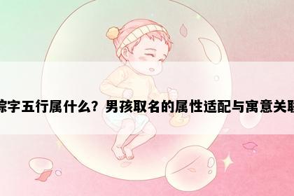 棕字五行属什么？男孩取名的属性适配与寓意关联