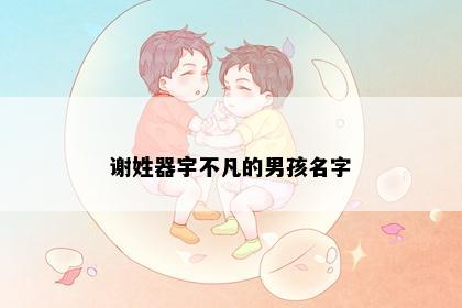 谢姓器宇不凡的男孩名字